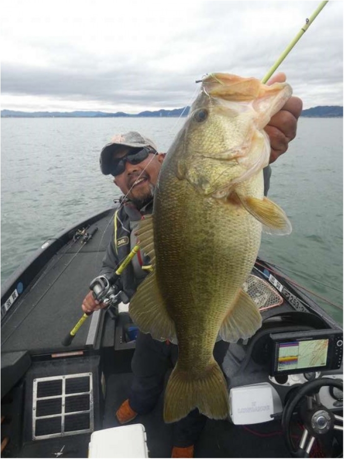 truth  ブログ写真 2018/03/08