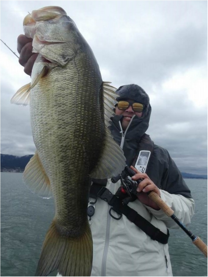 truth  ブログ写真 2018/03/08