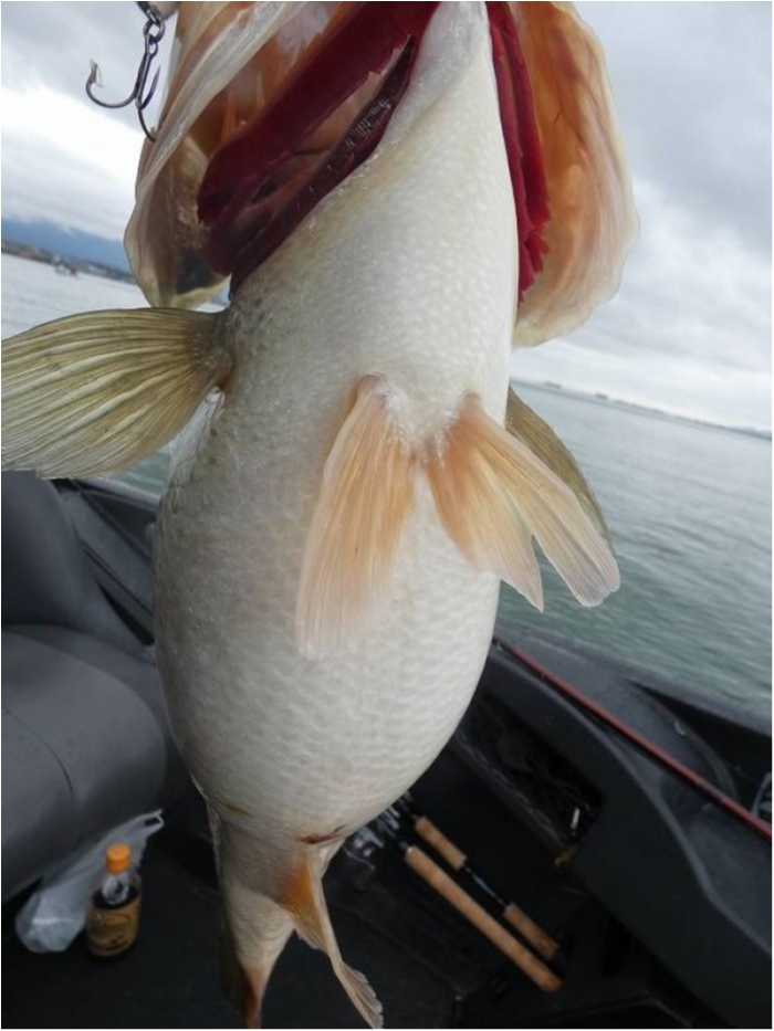 truth  ブログ写真 2018/03/08