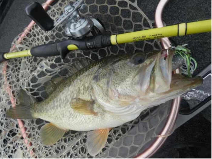 truth  ブログ写真 2018/03/08