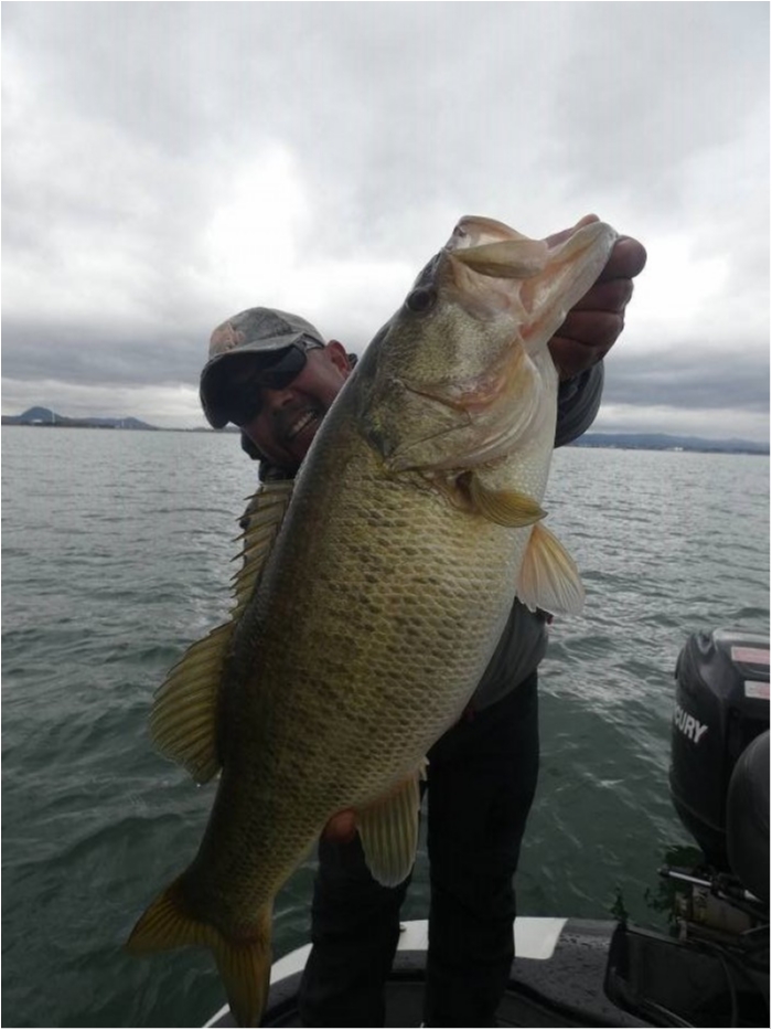 truth  ブログ写真 2018/03/08