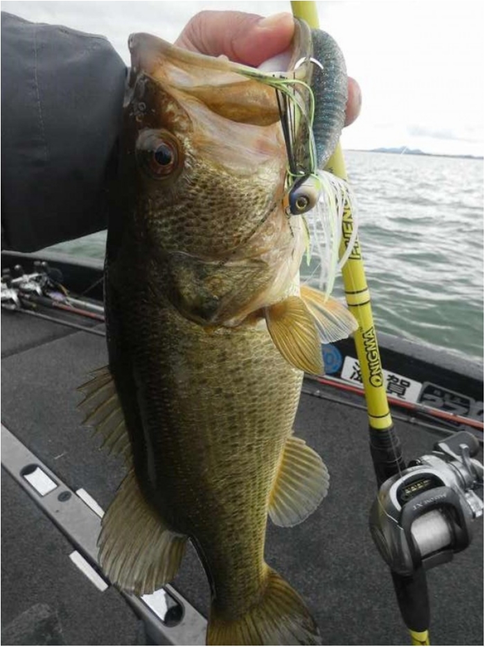 truth  ブログ写真 2018/03/08