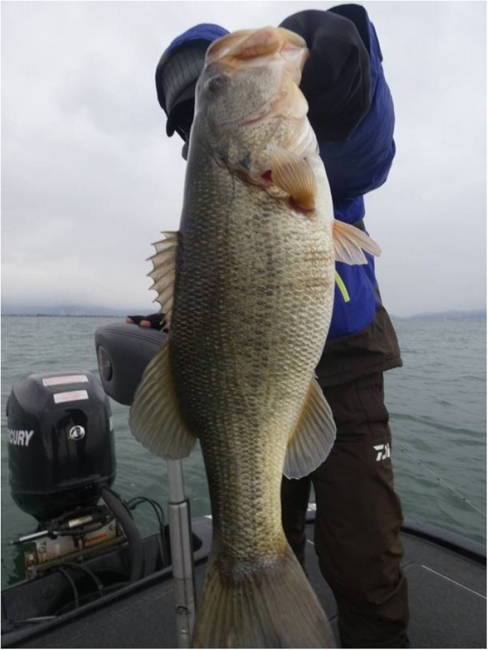 truth  ブログ写真 2018/03/09