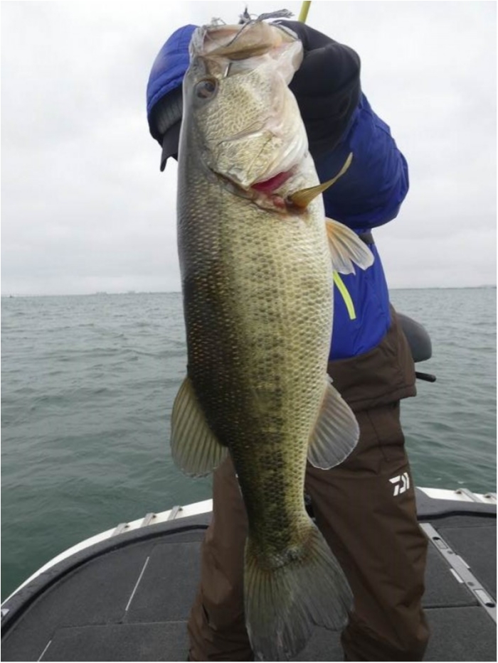 truth  ブログ写真 2018/03/09