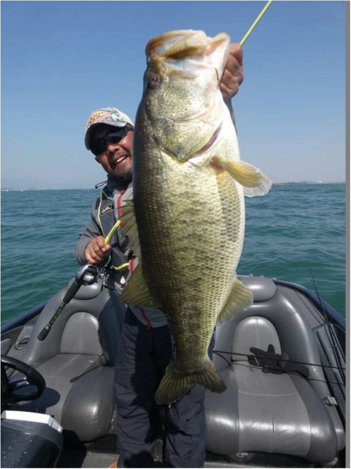 truth  ブログ写真 2018/03/13