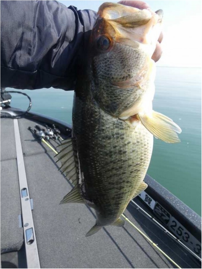 truth  ブログ写真 2018/03/13