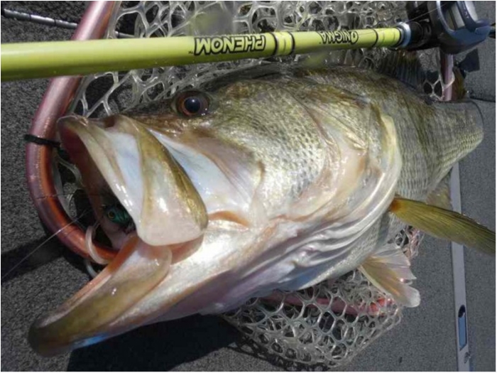 truth  ブログ写真 2018/03/13