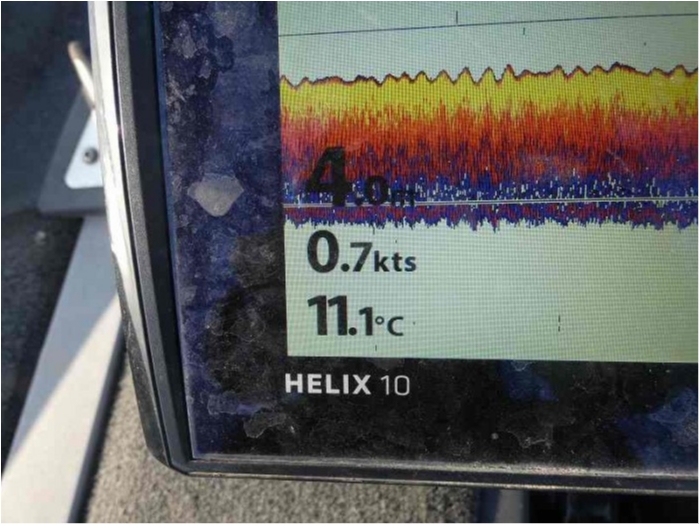 truth  ブログ写真 2018/03/14