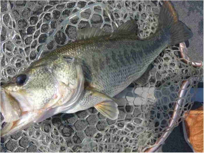 truth  ブログ写真 2018/03/16