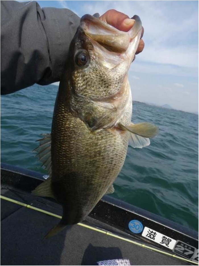 truth  ブログ写真 2018/03/16