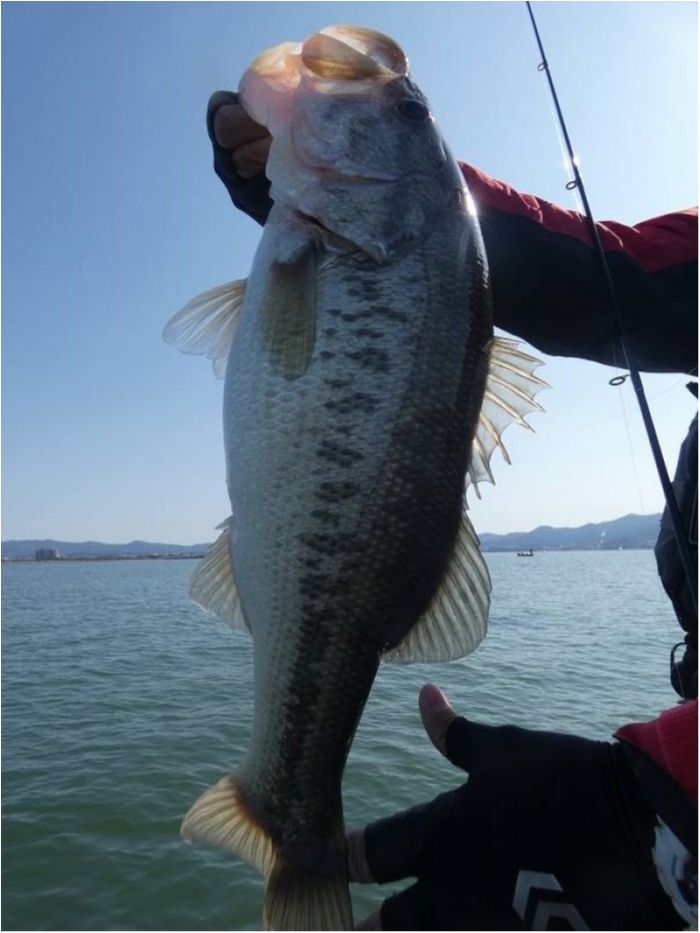 truth  ブログ写真 2018/03/17