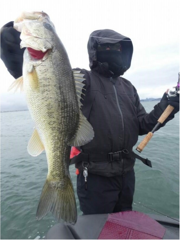 truth  ブログ写真 2018/03/20