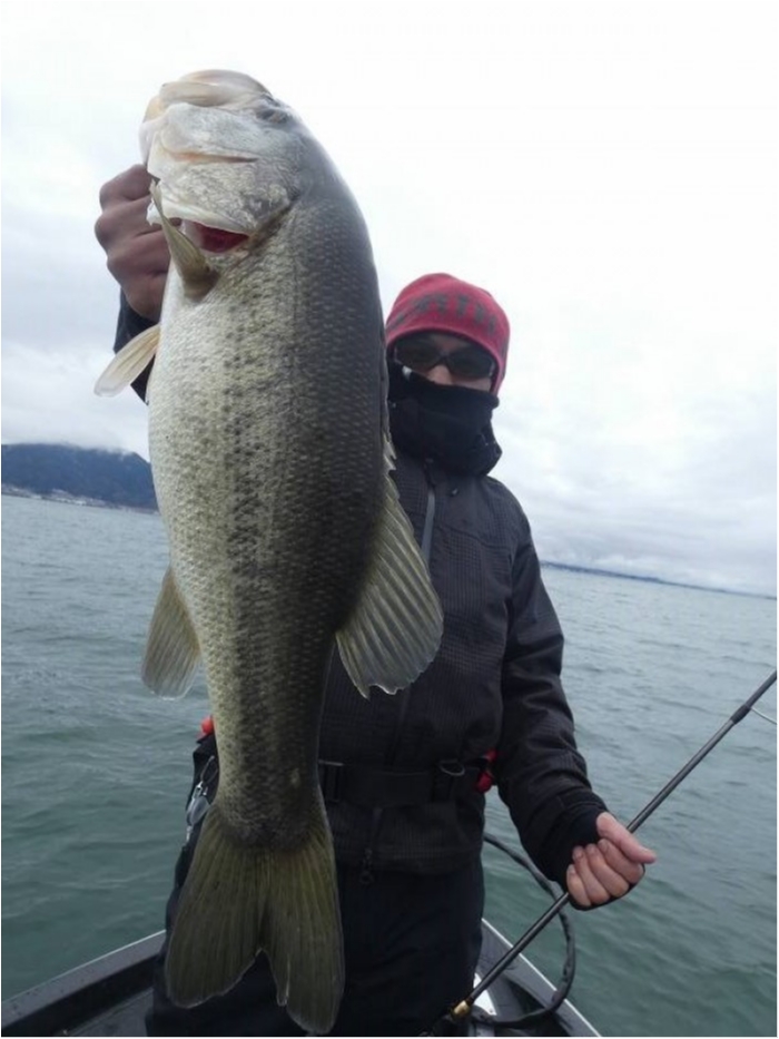 truth  ブログ写真 2018/03/20