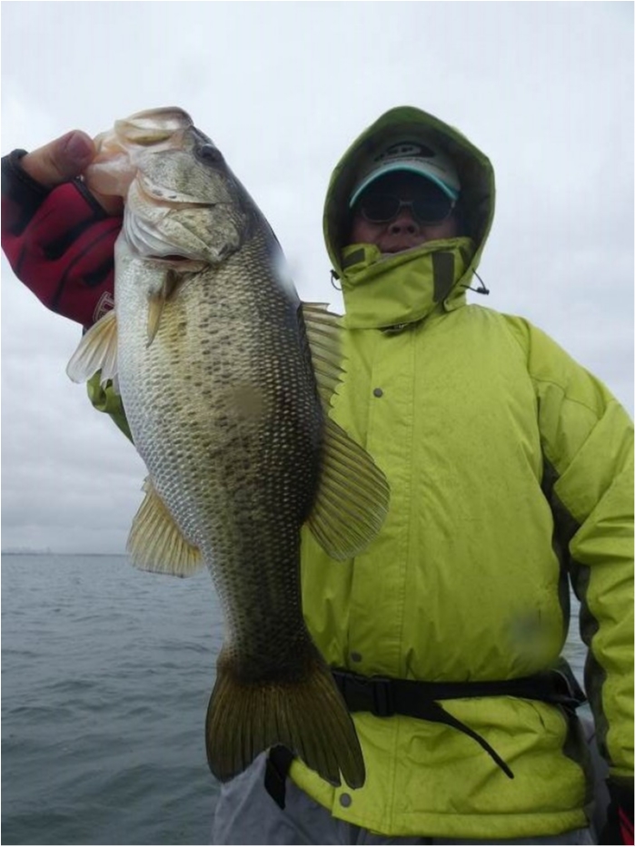 truth  ブログ写真 2018/03/20