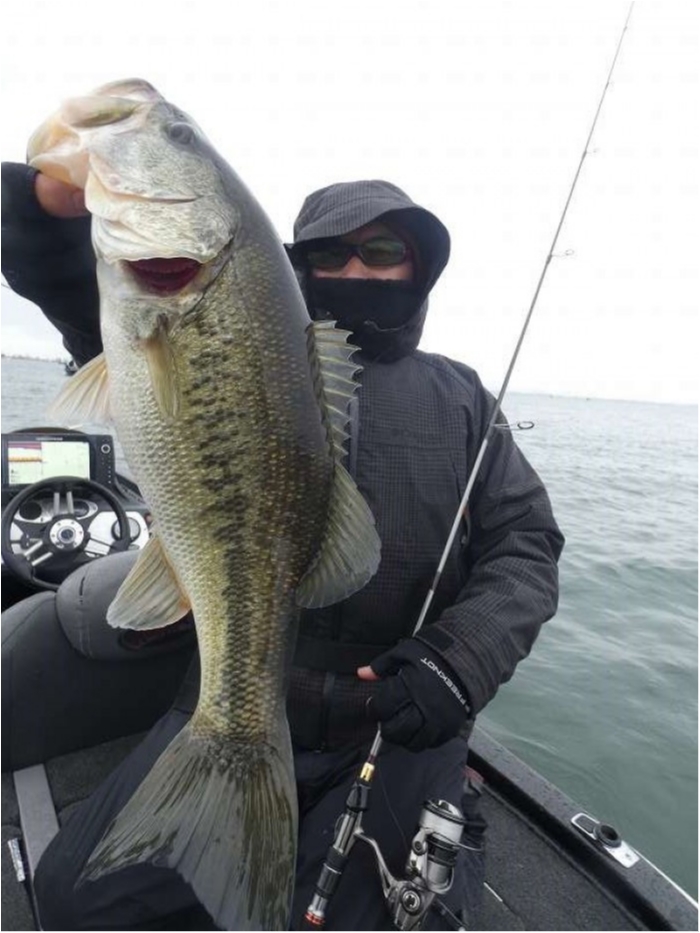 truth  ブログ写真 2018/03/20