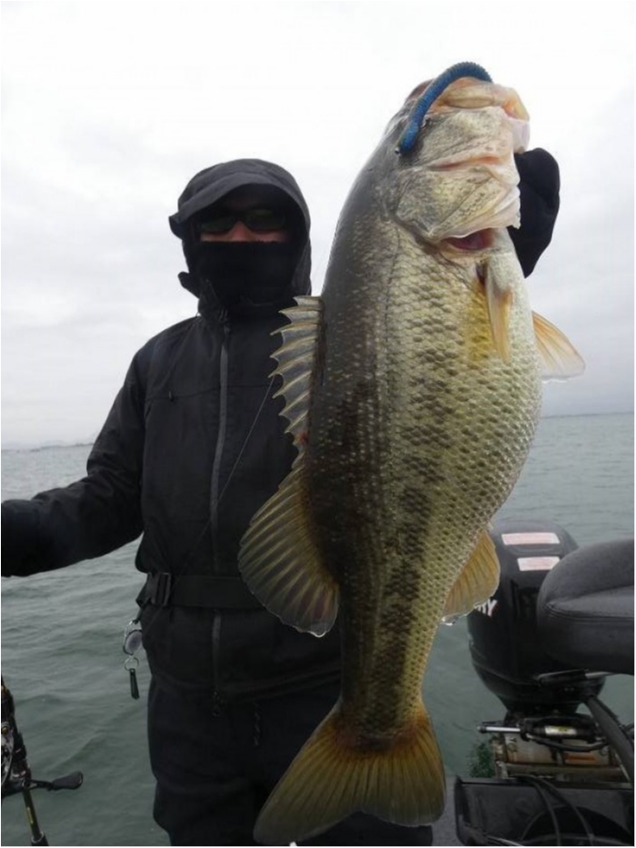 truth  ブログ写真 2018/03/20