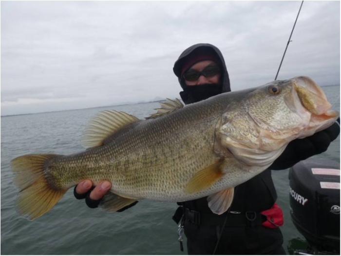 truth  ブログ写真 2018/03/20