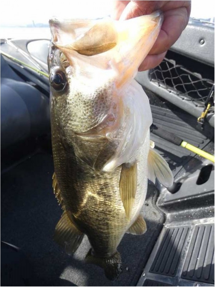 truth  ブログ写真 2018/03/23