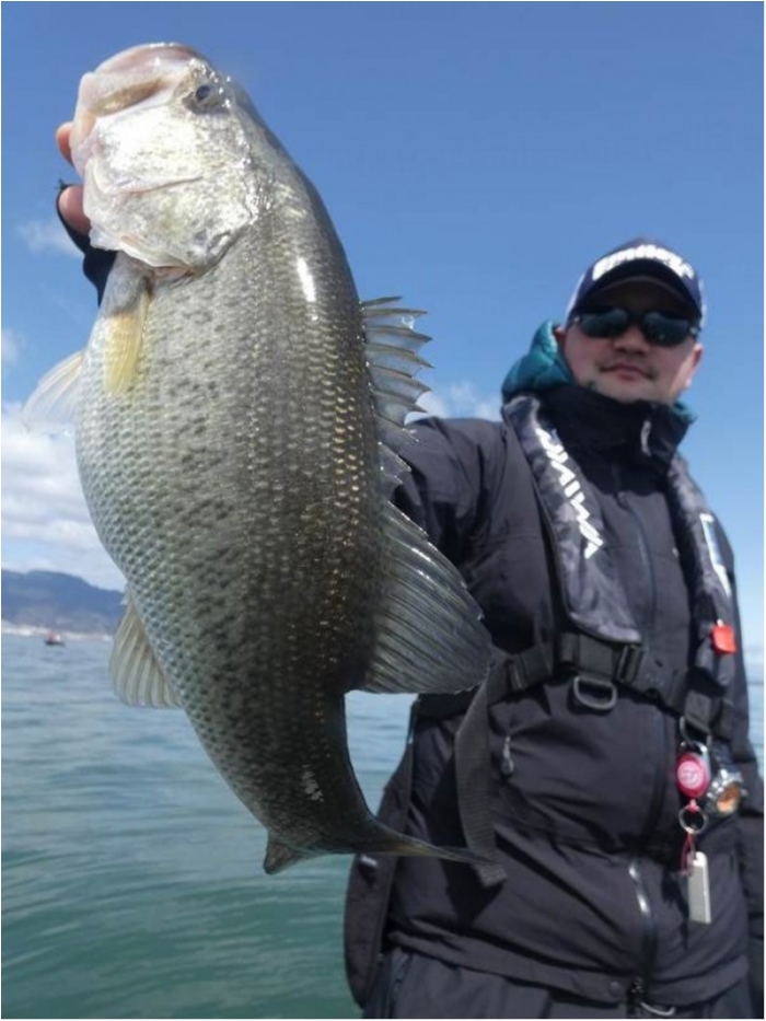 truth  ブログ写真 2018/03/23