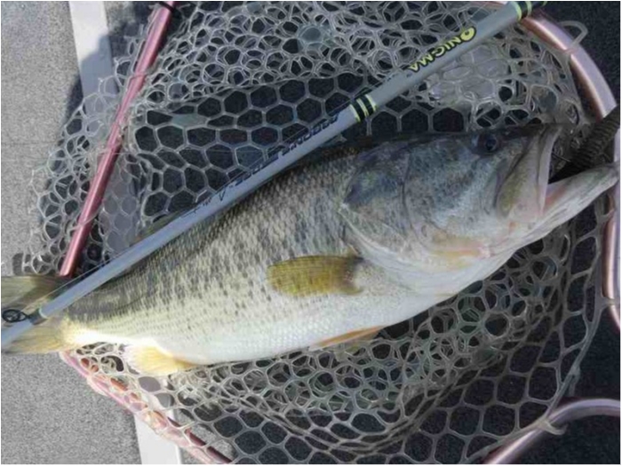 truth  ブログ写真 2018/03/23