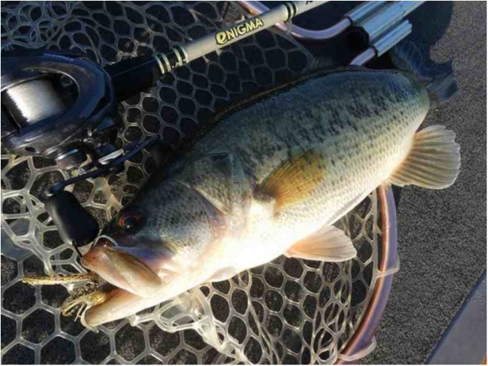 truth  ブログ写真 2018/03/24