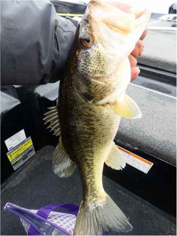 truth  ブログ写真 2018/04/09