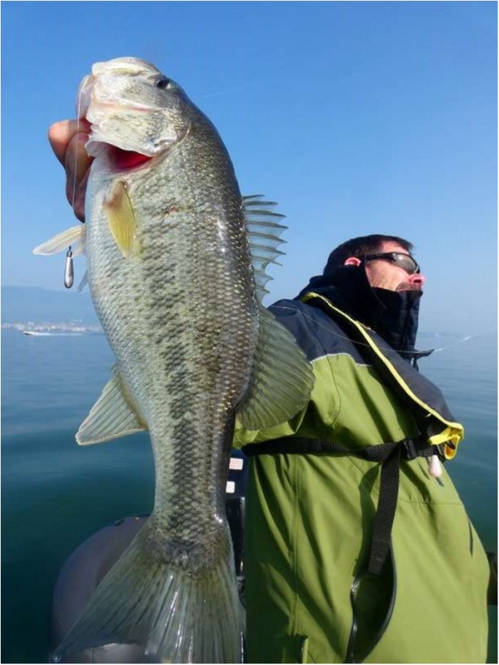 truth  ブログ写真 2018/04/10