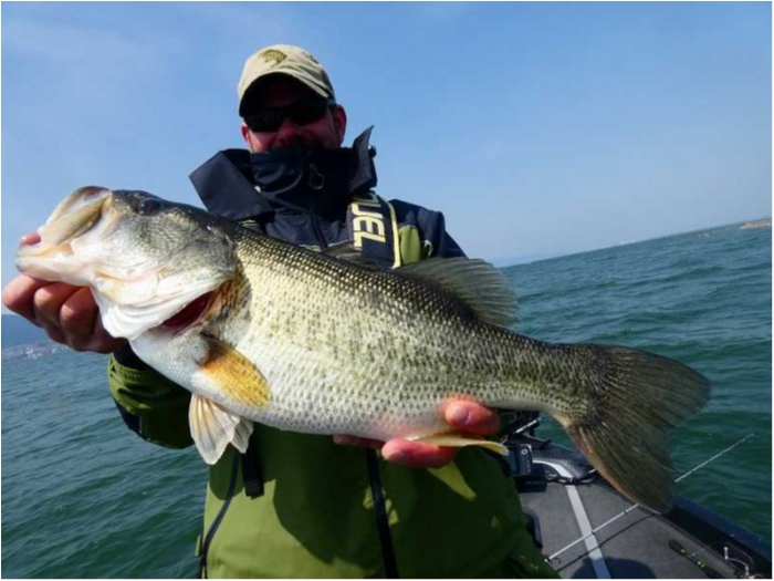 truth  ブログ写真 2018/04/10