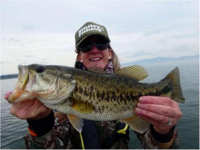 truth  ブログ写真 2018/04/11