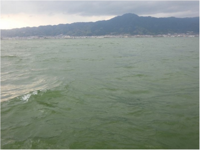 truth  ブログ写真 2018/04/11