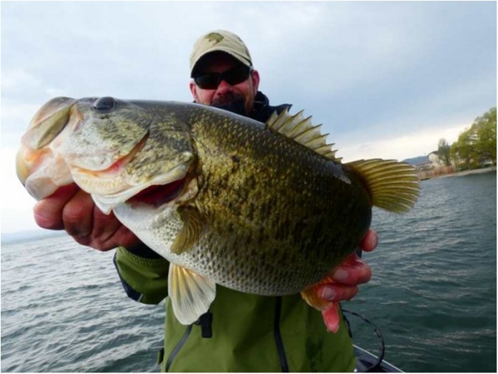 truth  ブログ写真 2018/04/11