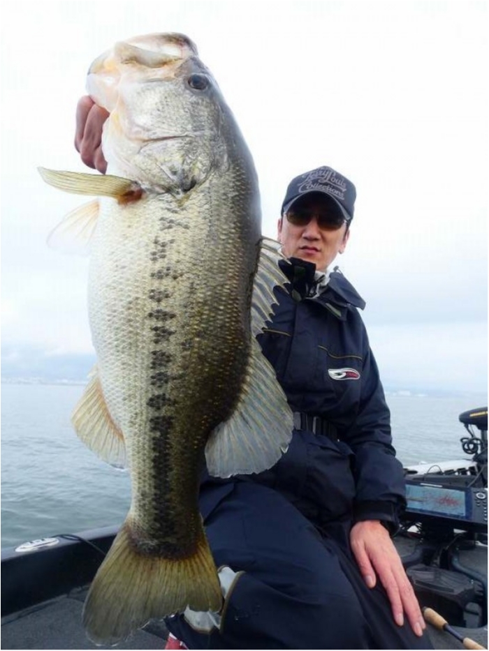 truth  ブログ写真 2018/04/12