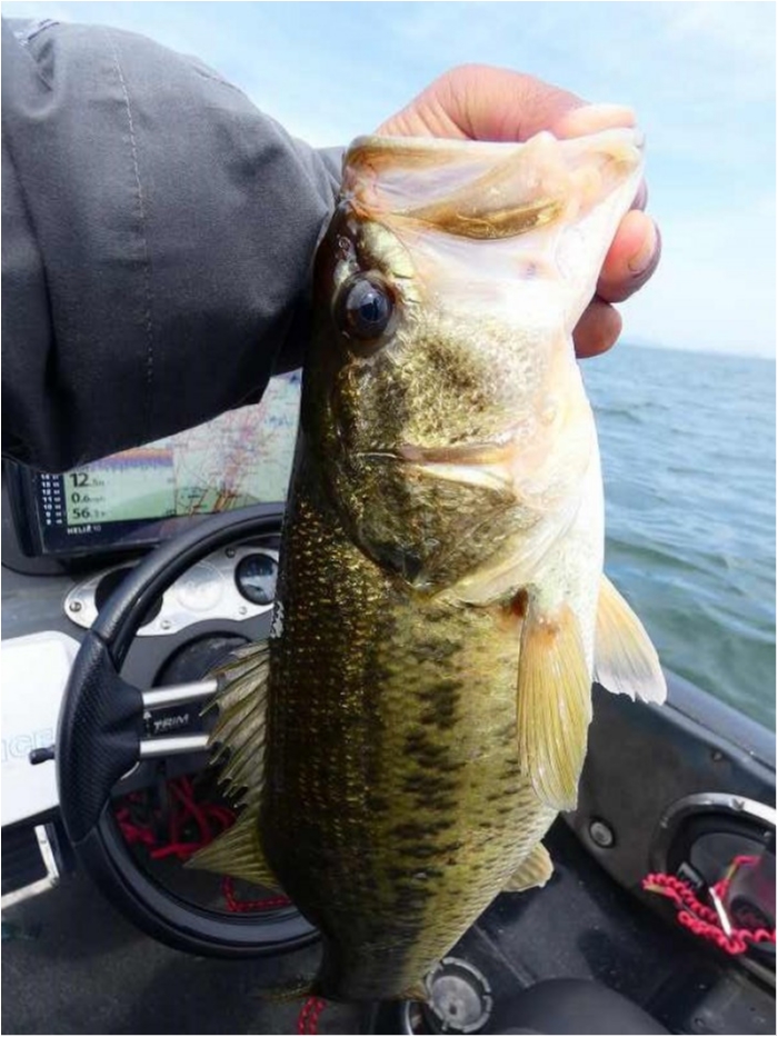 truth  ブログ写真 2018/04/12