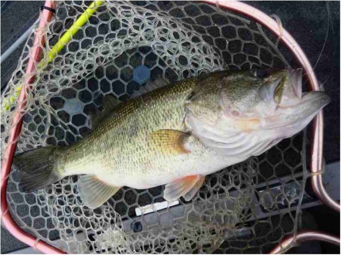 truth  ブログ写真 2018/04/12