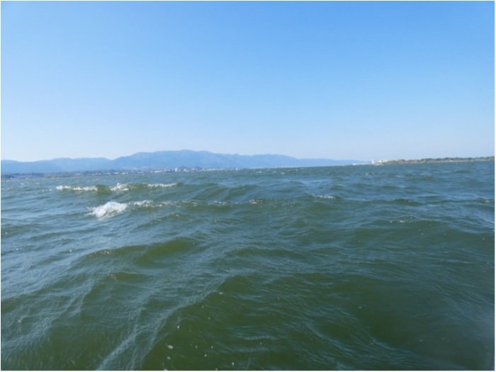 truth  ブログ写真 2018/04/13