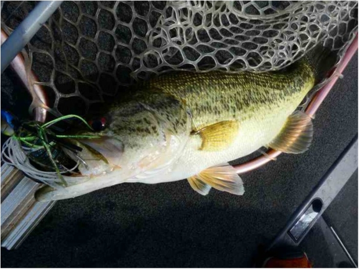 truth  ブログ写真 2018/04/14