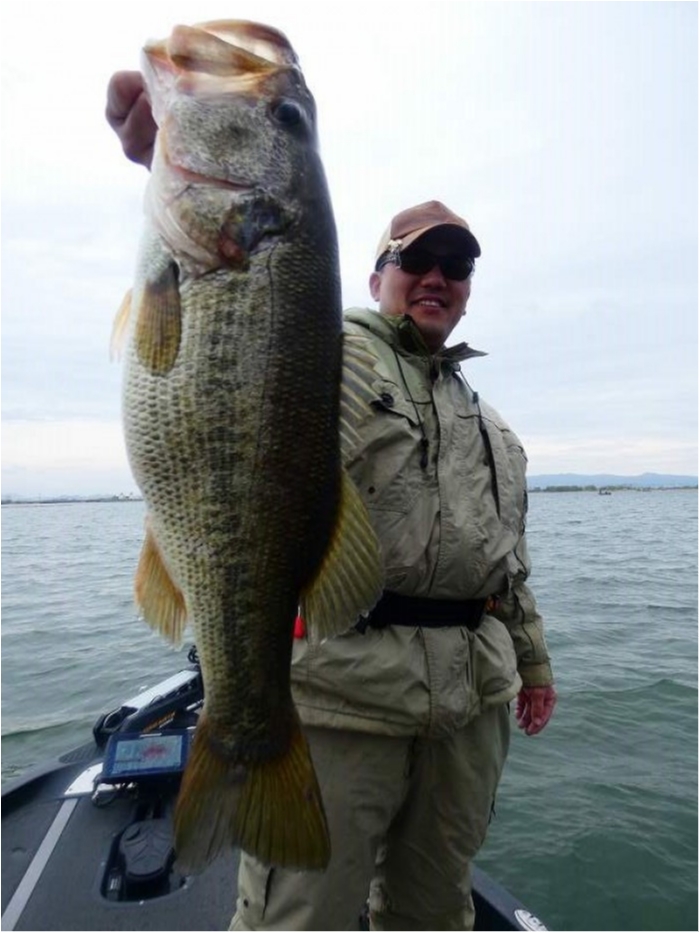 truth  ブログ写真 2018/04/14