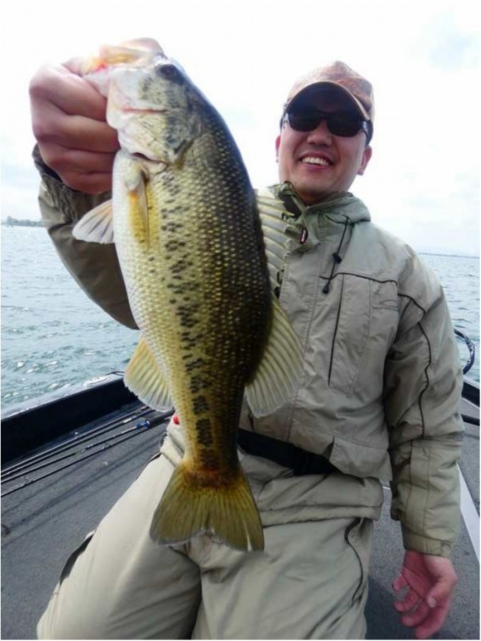 truth  ブログ写真 2018/04/14