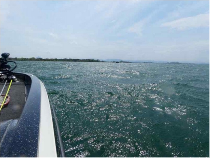 truth  ブログ写真 2018/04/14