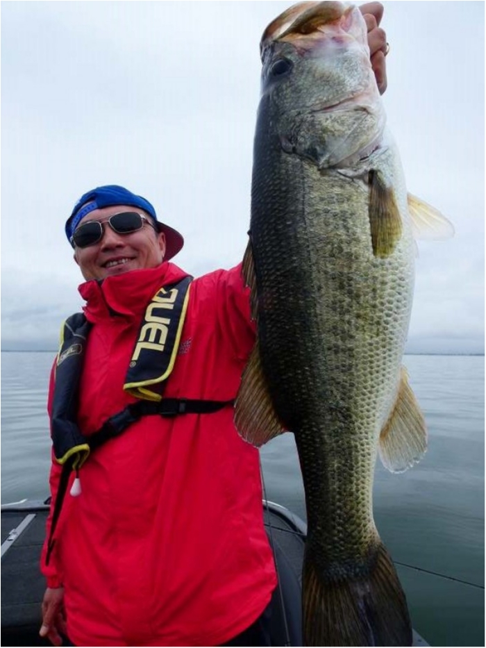 truth  ブログ写真 2018/04/18