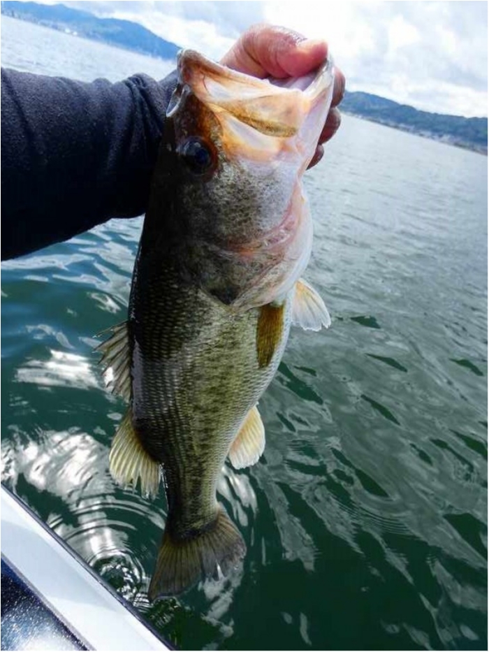 truth  ブログ写真 2018/04/18