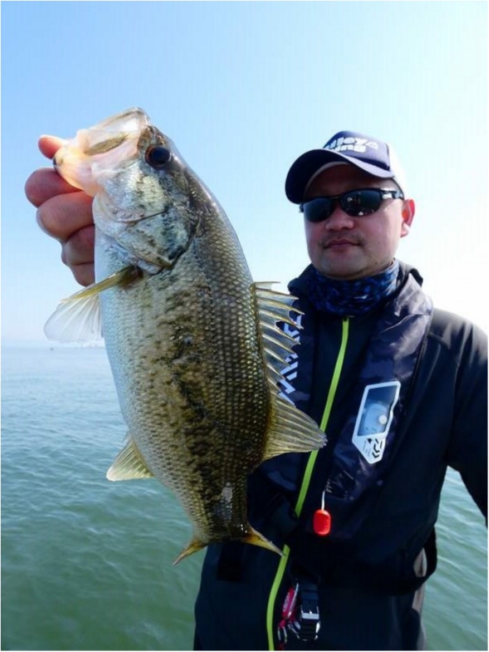 truth  ブログ写真 2018/04/20