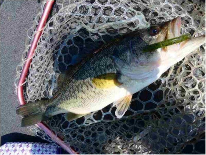 truth  ブログ写真 2018/04/20