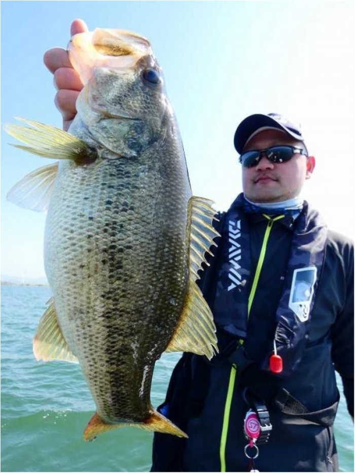 truth  ブログ写真 2018/04/20