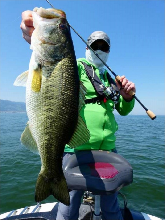 truth  ブログ写真 2018/04/21