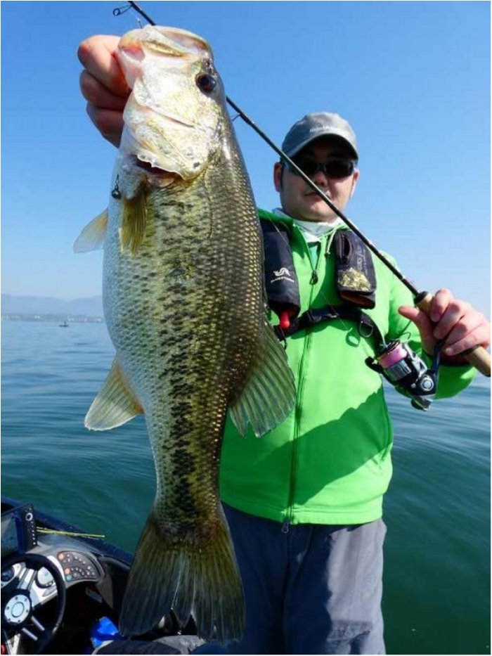 truth  ブログ写真 2018/04/21