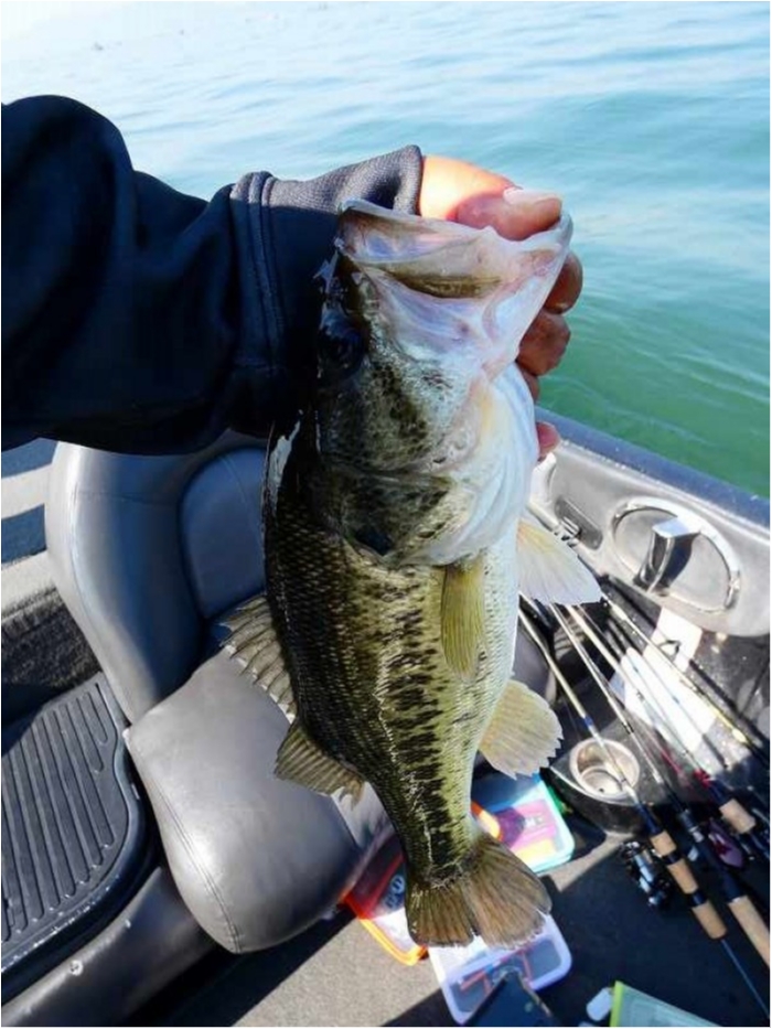 truth  ブログ写真 2018/04/21