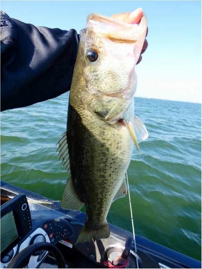 truth  ブログ写真 2018/04/21