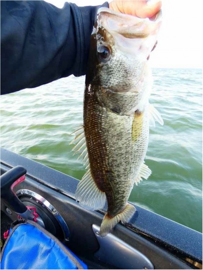 truth  ブログ写真 2018/04/21