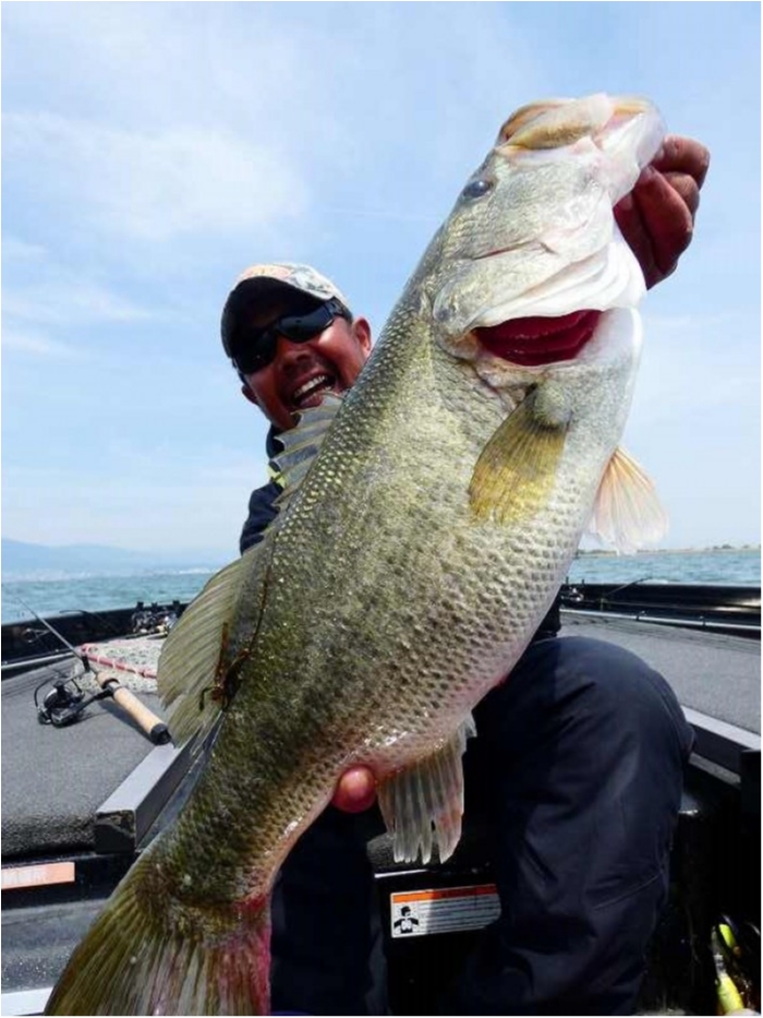 truth  ブログ写真 2018/04/22